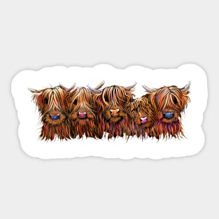 SCoTTiSH HiGHLaND CoWs ' THe HaiRY BuNCH OF CooS ' Sticker